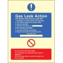 Gas Leak Action