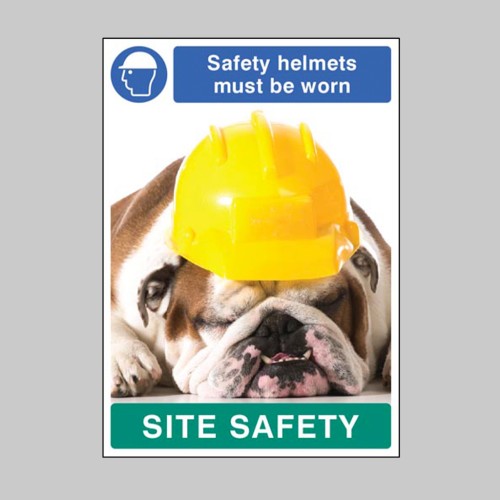 Safety Helmets must be Worn - Dog - Poster